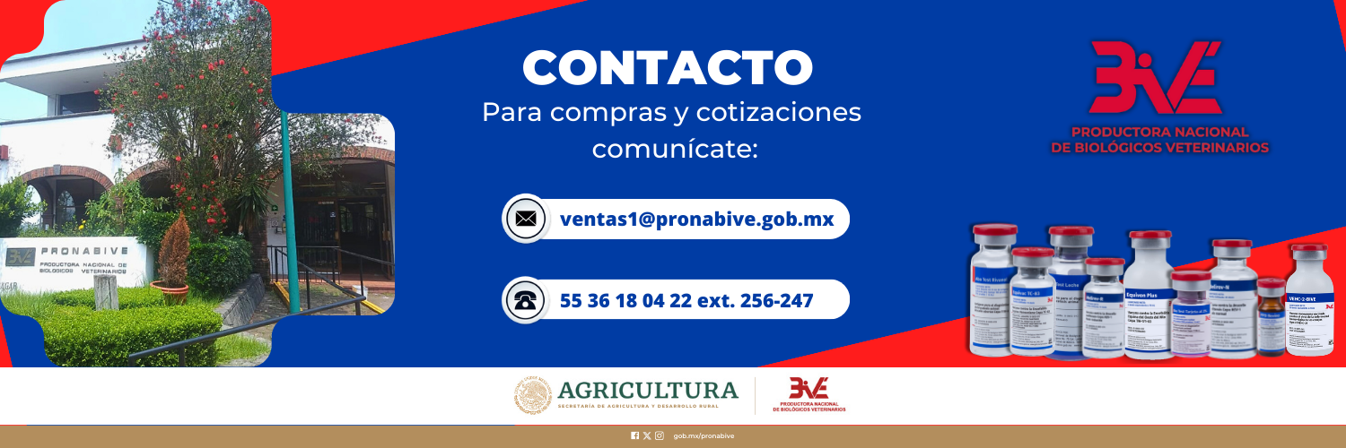 IMG-CONTACTO